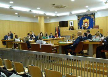 pleno-asamblea-octubre