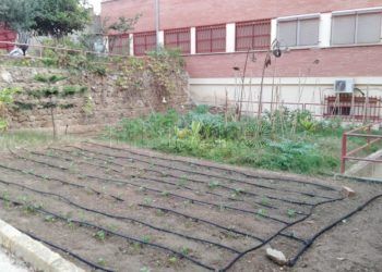 premios-encina-ortega-gasset-3