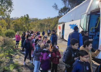 reforestacion-medio-ambiente-centro-cultural-imam-warsh-7