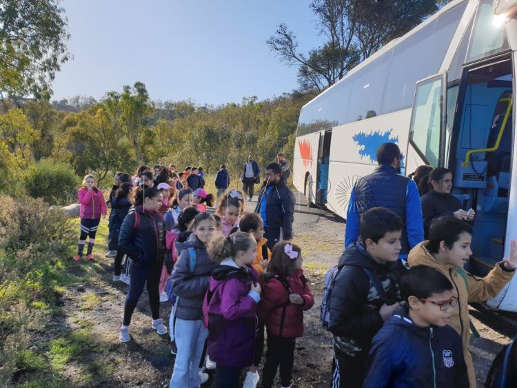 reforestacion-medio-ambiente-centro-cultural-imam-warsh-7