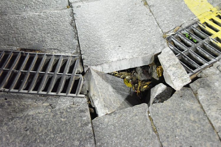 suelo-paseo-palmeras-4