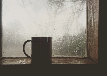 taza-hogar