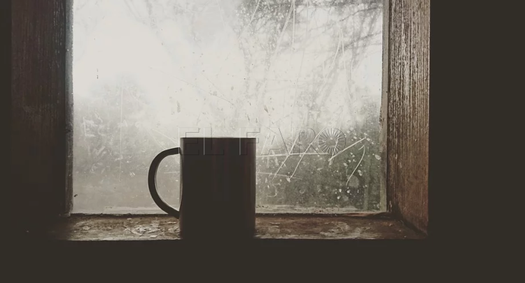 taza-hogar