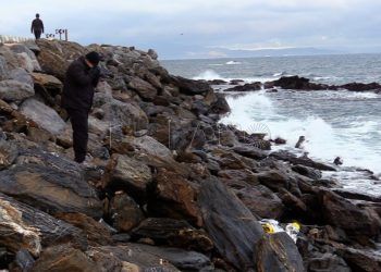 cadaver-calamocarro-benzu-7