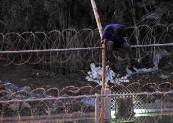 legado-concertinas-3