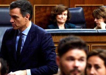 pedro-sanchez-opinion-pp