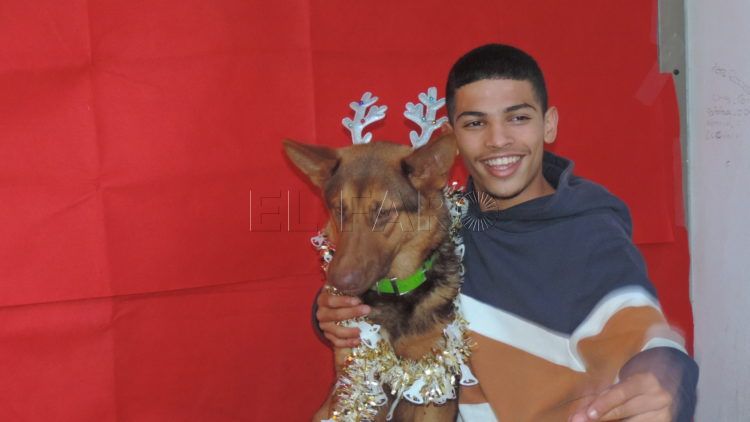 photocall-mascotas-camara-2