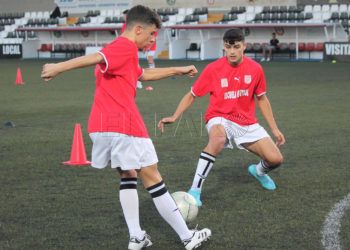 selecciones-listas-14-16