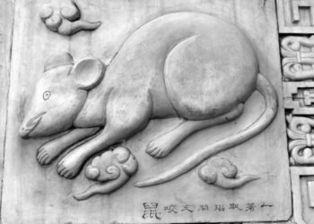 2020-rata-horoscopo-chino