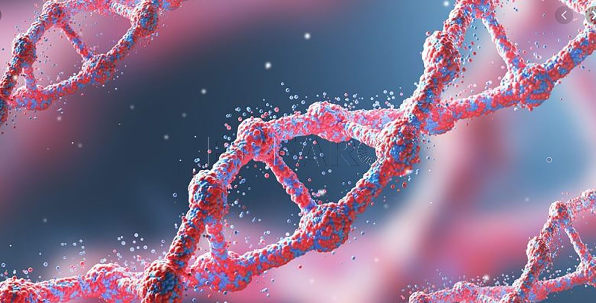 Qué es la epigenética y para qué sirve
