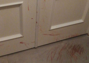 aranazos-sangre-puerta-mascota