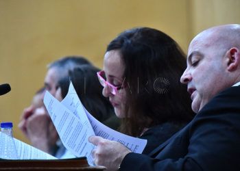 diputados-vox-dimiten