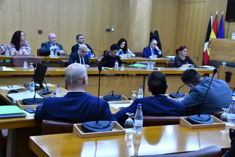 pleno-asamblea-vox-diputados-disidentes-2