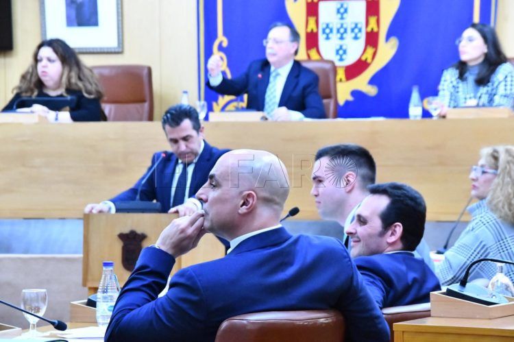 pleno-ccoo-pin-parental