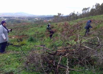 reforestacion-obimasa-5