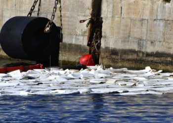 vertido-buque-muelle-alfau-2