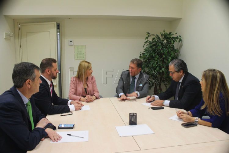 grupo-popular-senado-medicos-ceuta