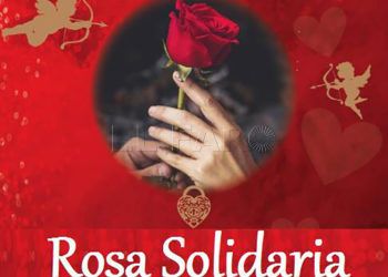 hermandad-rocio-ceuta-rosa-solidaria