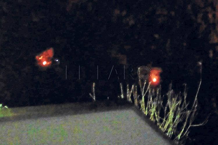 incendios-cocinar-chabolas-ceti-1