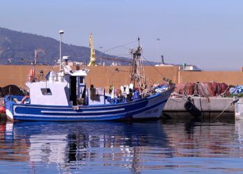 labores-adecentamiento-puerto-pesquero-24