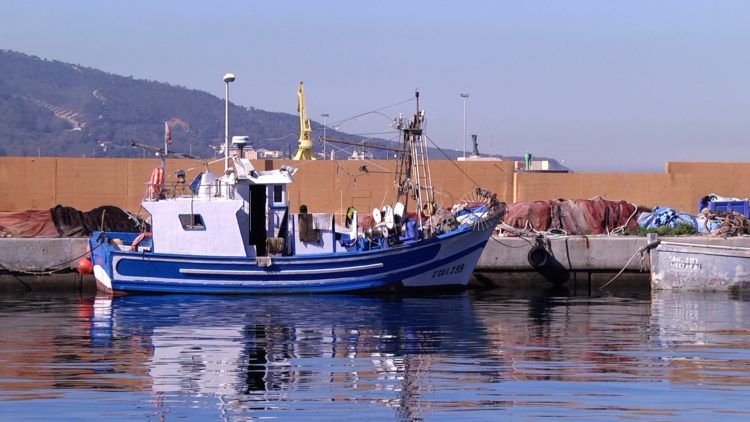 labores-adecentamiento-puerto-pesquero-24