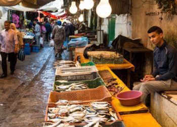mercados-tetuan-abarrotados-pescado