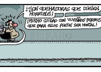 miercoles-12-febrero-2020