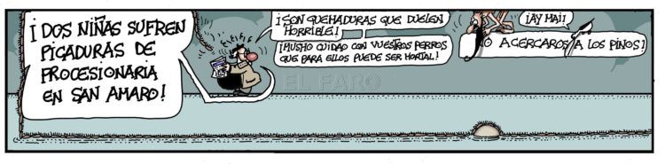 miercoles-12-febrero-2020