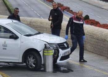 taxis-pivote-palmeras