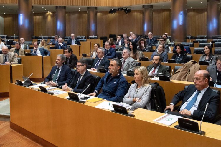 comision-congreso-teresa-lopez-vox-ceuta