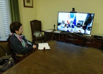 delegada-gobierno-videoconferencia-marlaska