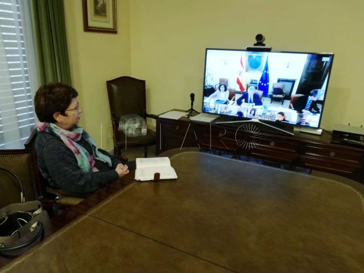 delegada-gobierno-videoconferencia-marlaska