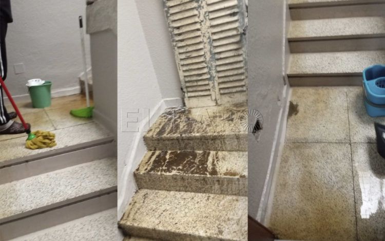 inundacion-cuarentena-pantera