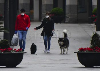 mascotas-paseo-coronavirus-mascarillas