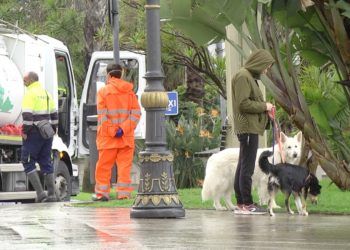 perros-coronavirus-limpieza