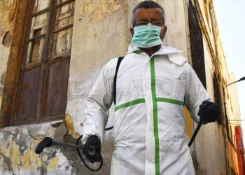 quino-estado-alarma-12-dias-5