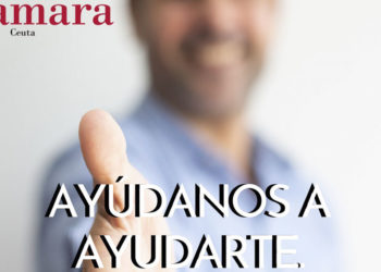 cartel-web-encuesta-camara-autonomos