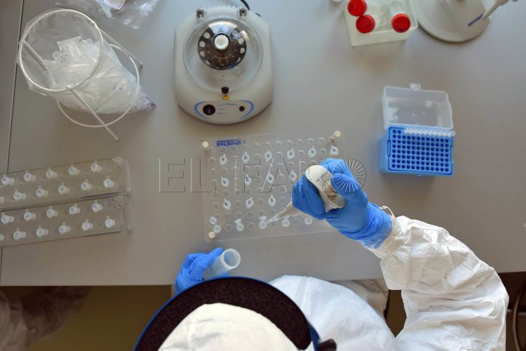 ciencia-coronavirus