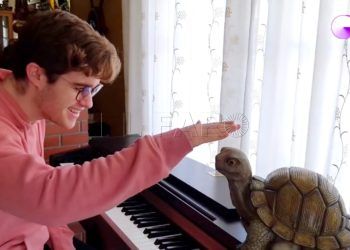 gerard-rodriguez-ot-pase-micros-virtual- (2)