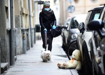 paseo-mascotas