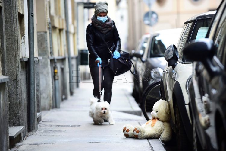 paseo-mascotas