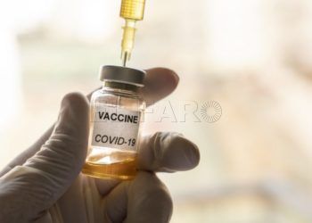 vacuna-coronavirus- (2)