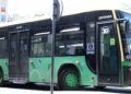 Autobuses_17