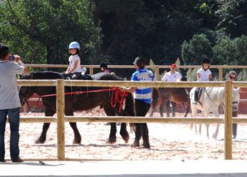 centro-ecuestre-ciudad-archivo-web