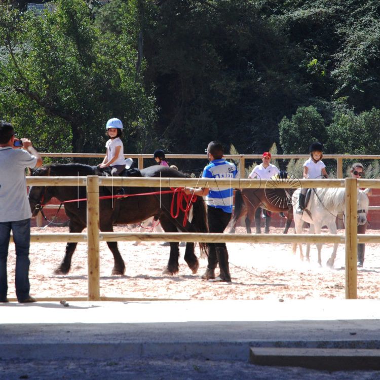 centro-ecuestre-ciudad-archivo-web