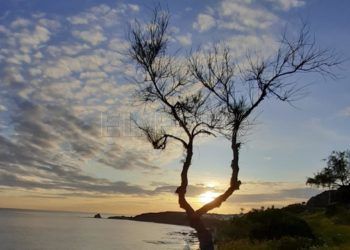detalle-foto-ganadora-vida-saludable