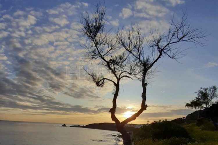 detalle-foto-ganadora-vida-saludable