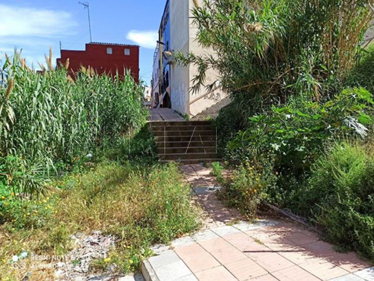 jungla-arroyo-paneque-22