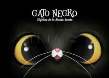 libro-gato-negro
