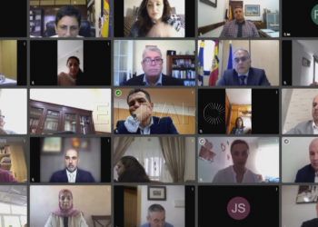 pleno-videoconferencia
